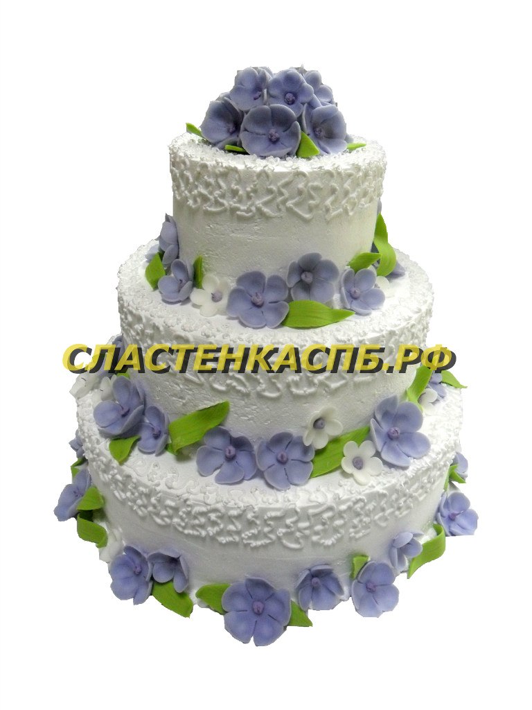 Портфолио