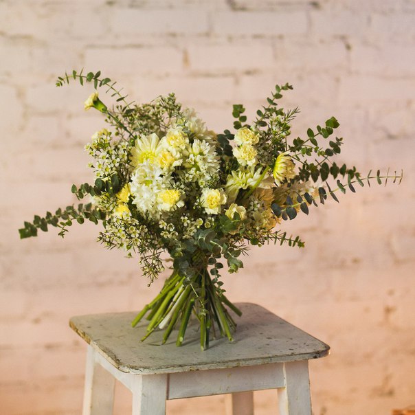 Matthiola