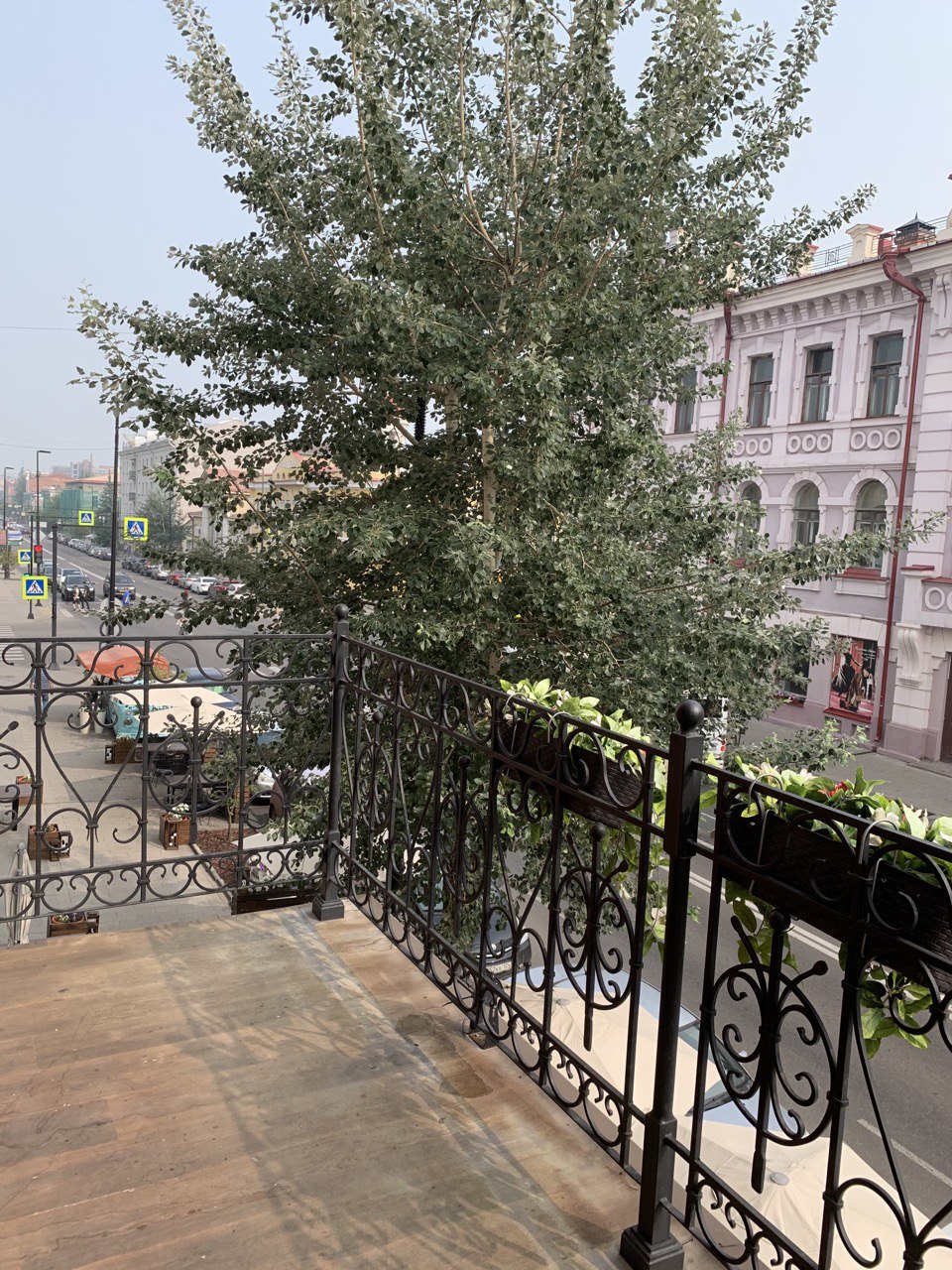 ООО "Афина"