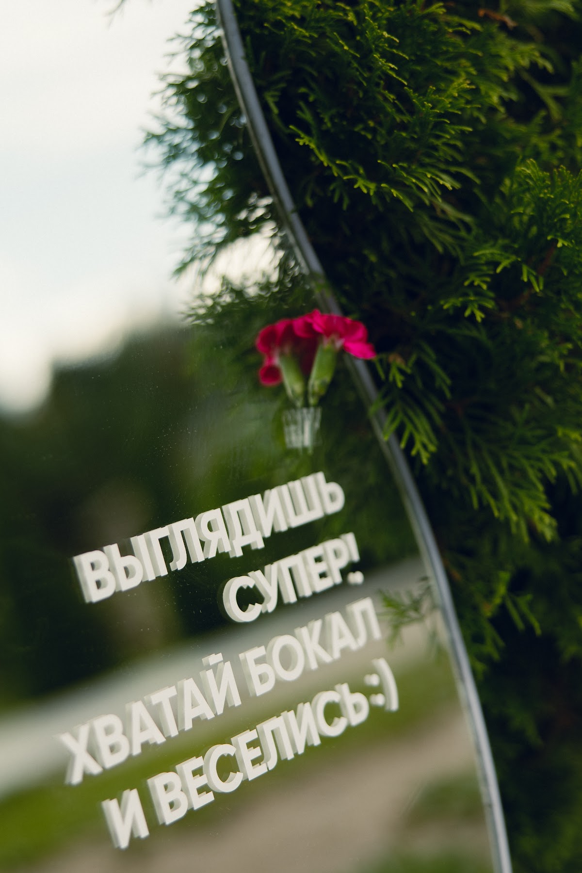 Алиса и Петя