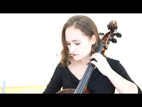 Видео "Амели"  Струнный квартет
