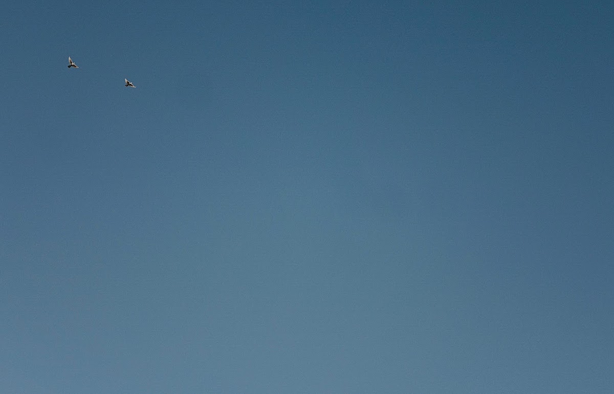 Кадр 71 из 125