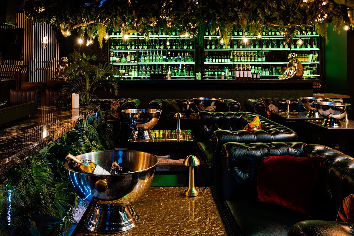 Monkey Lounge & Bar