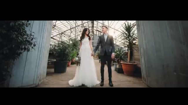 Портфолио: Свадьба