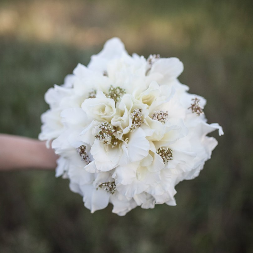 EG Flora