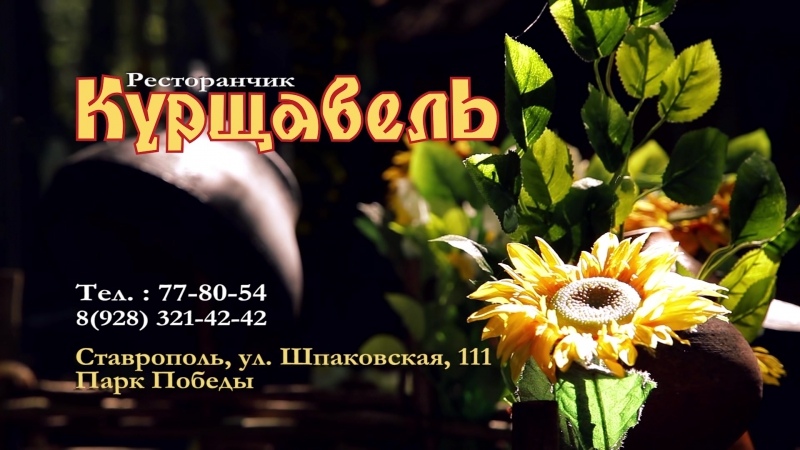 Кадр 49 из 87