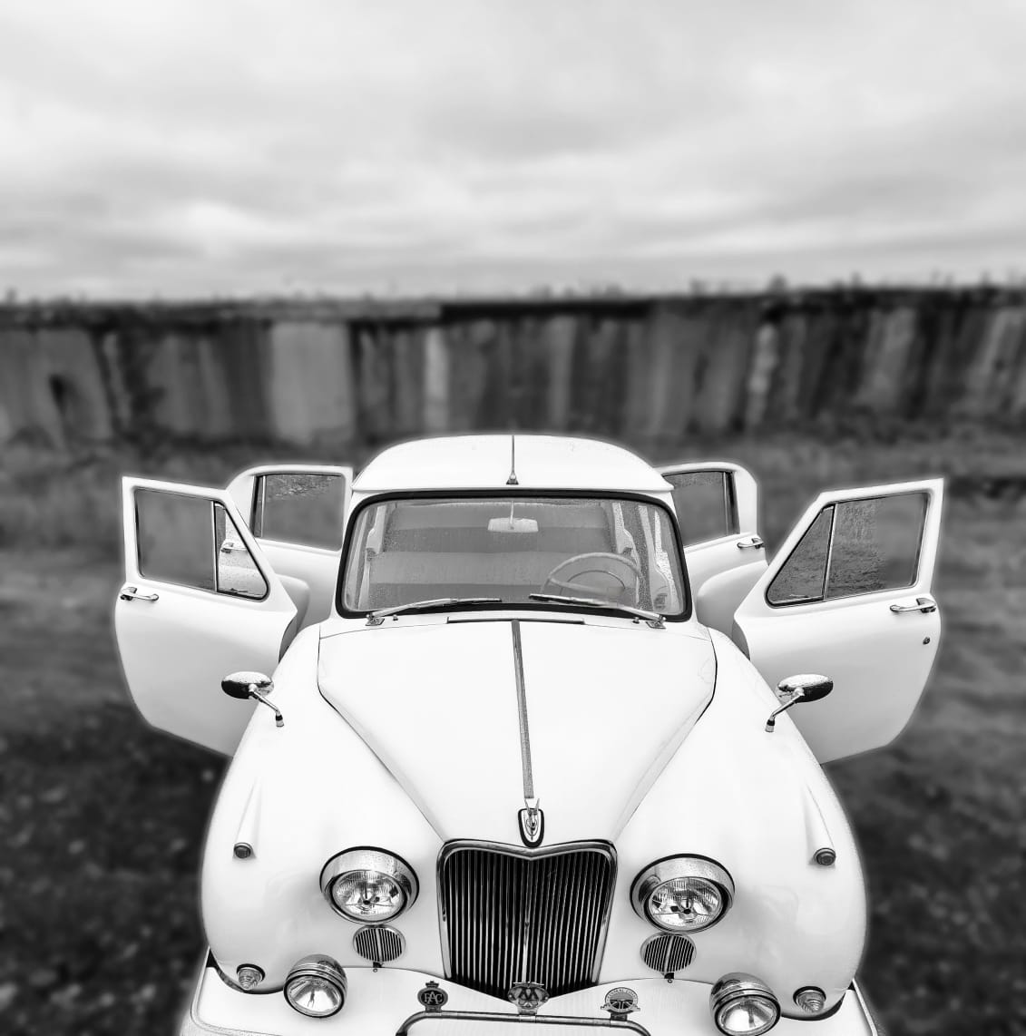 Фотографии