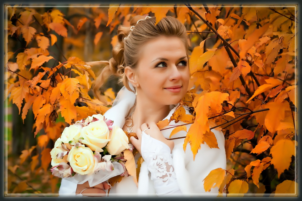 Портфолио: Свадьба