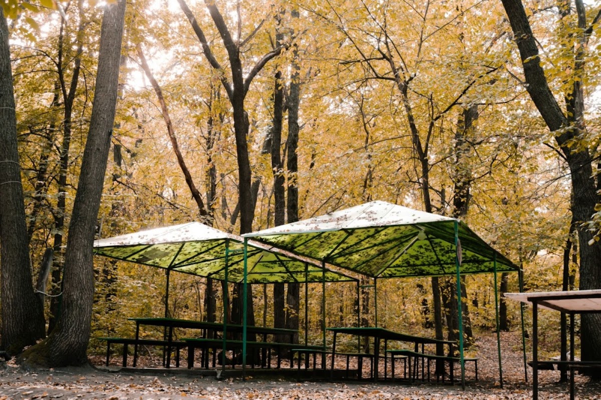 Лесная Крепость — кадр 3 из 36
