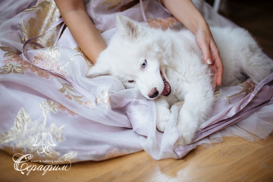 Amazing october/Alexander and Afina