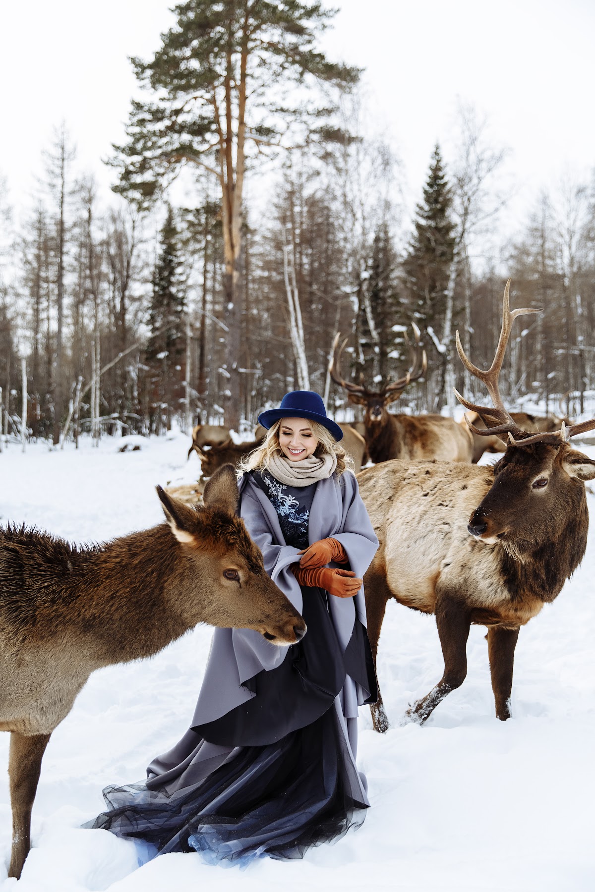 trip to the deer
