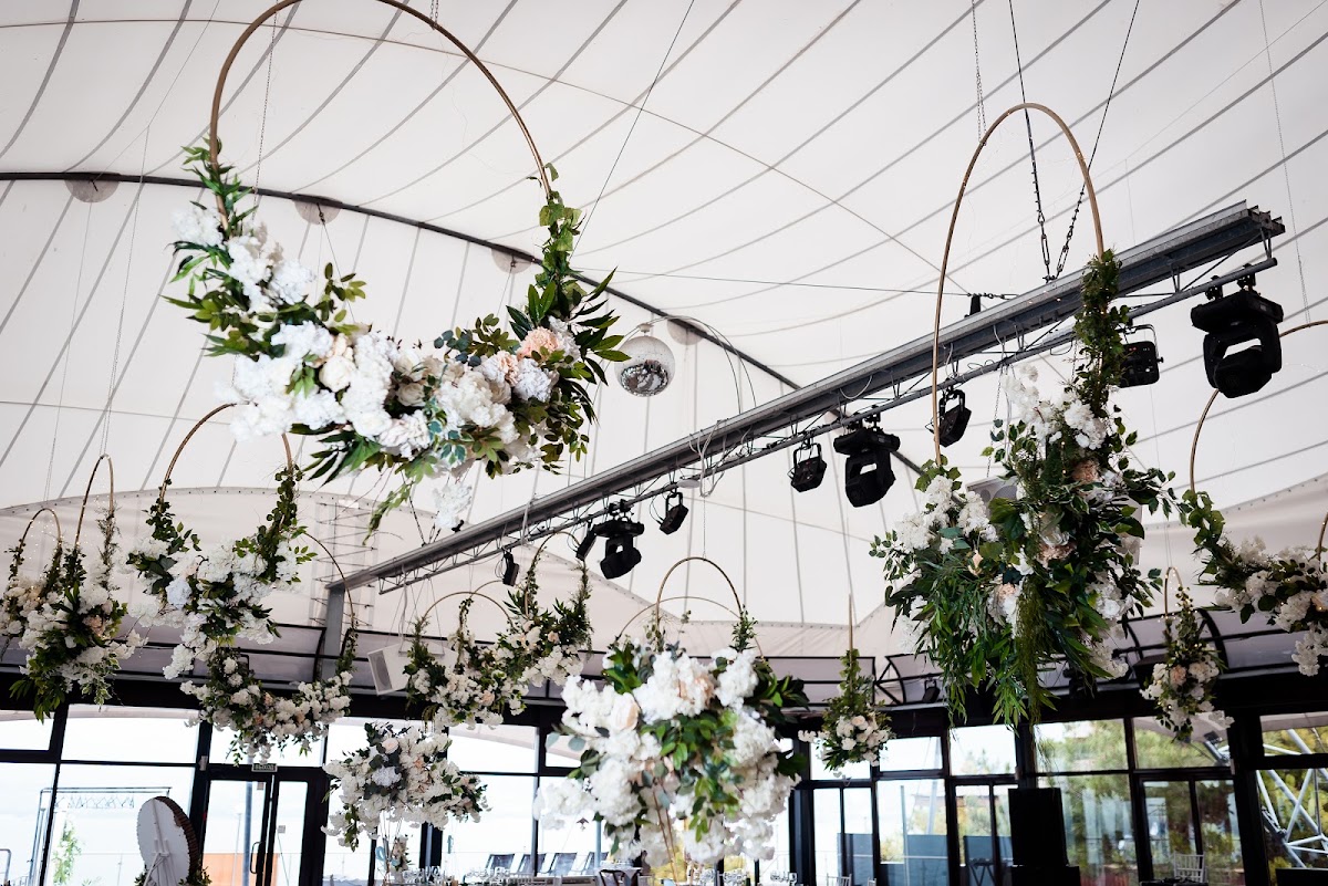 ANNA FORCE DECOR