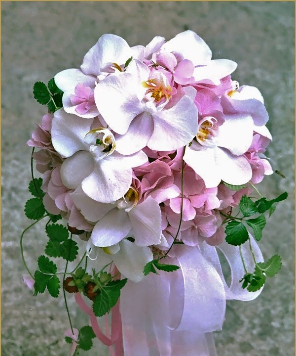 Кадр 31 из 33