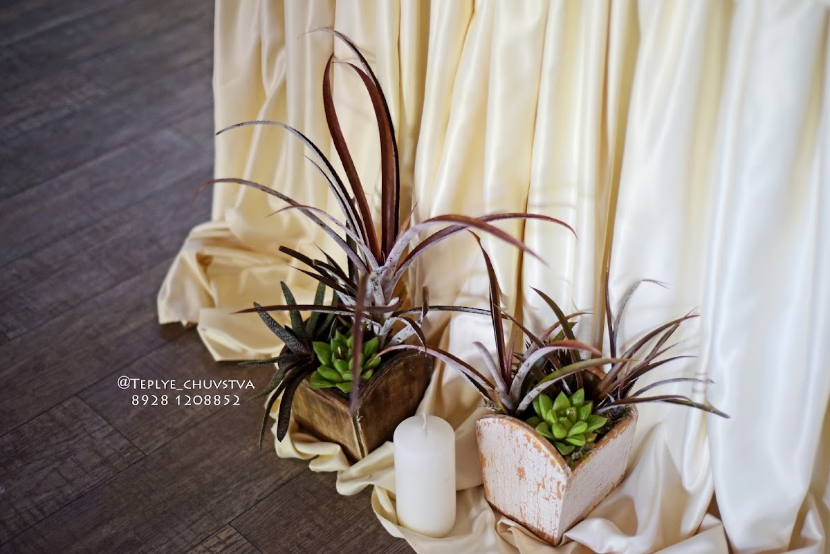 Роман и Виктория