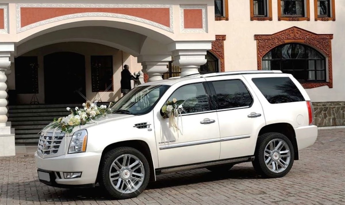 Escalade 7 mest Vip
