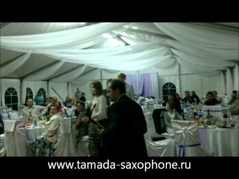 Портфолио: Свадьба