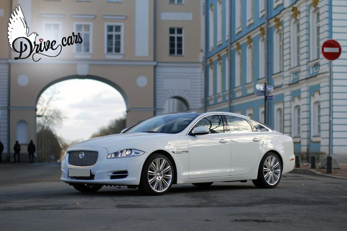 Фотографии