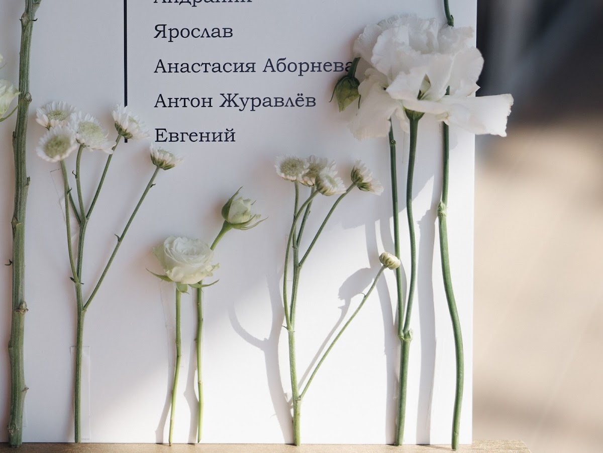 Фотографии