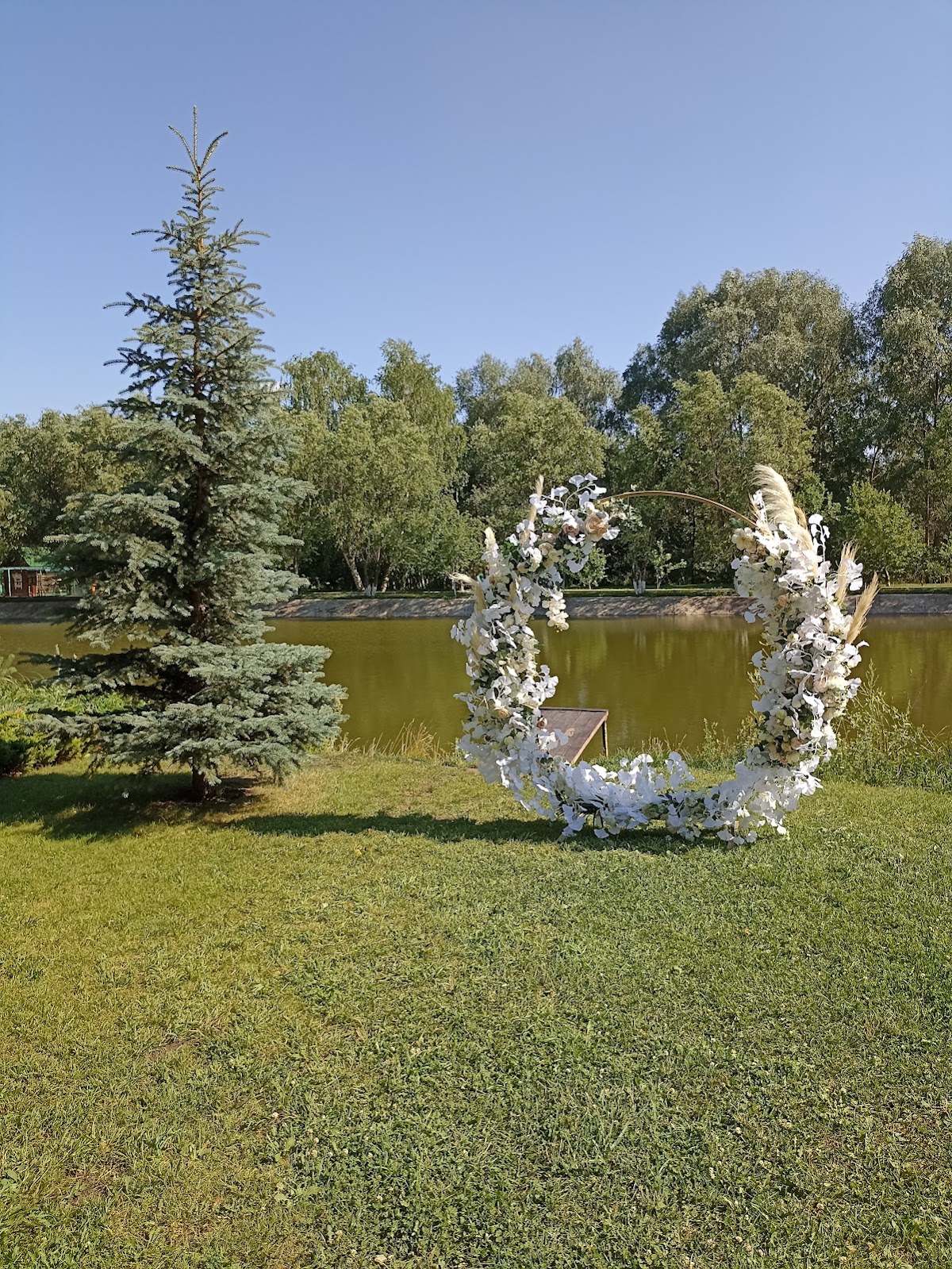 Кадр 50 из 51