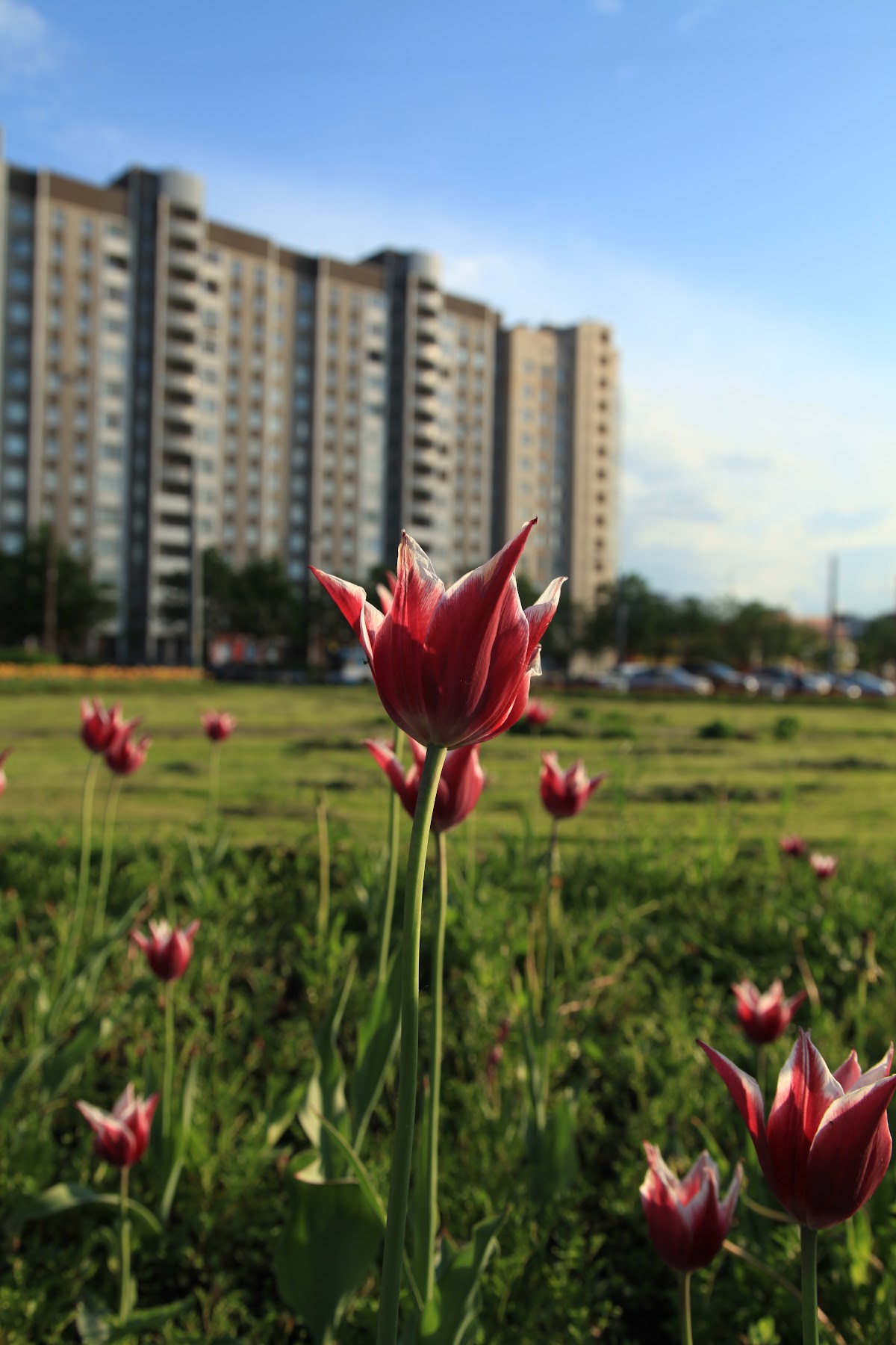 Портфолио: Фотохудожник