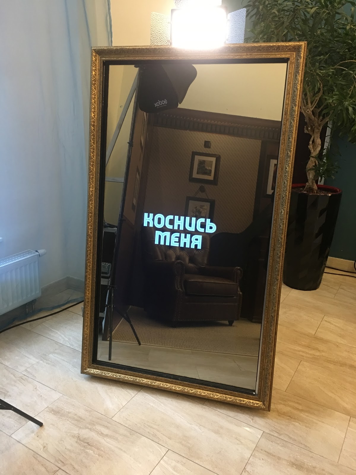 Фотографии