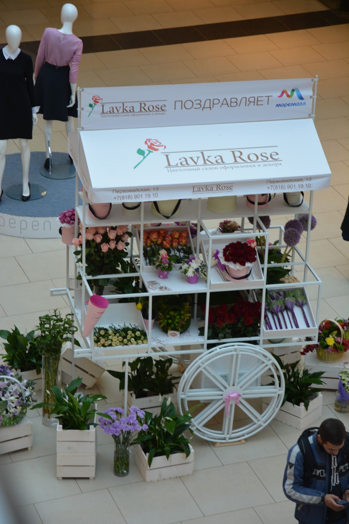 Колесница