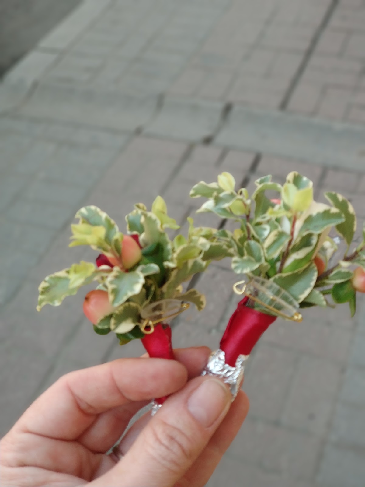Портфолио