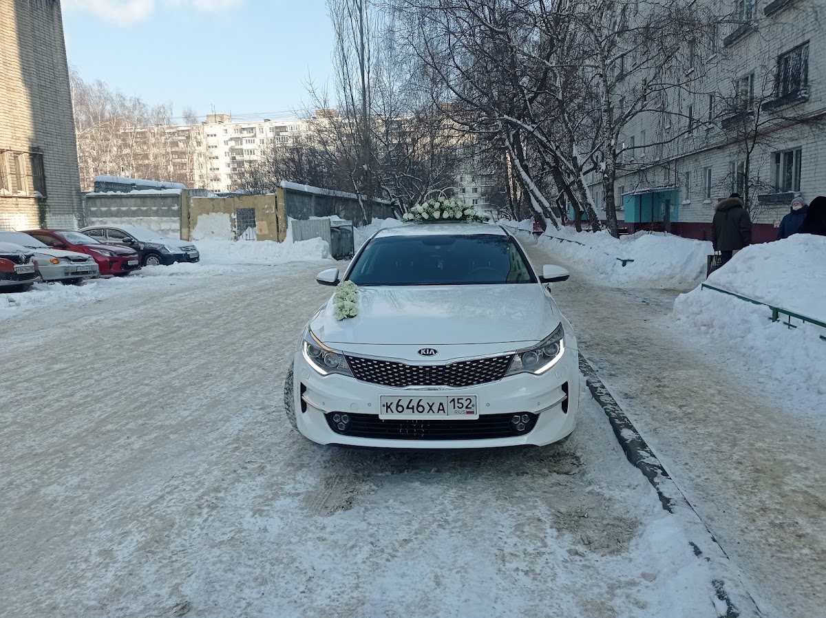 Фотографии
