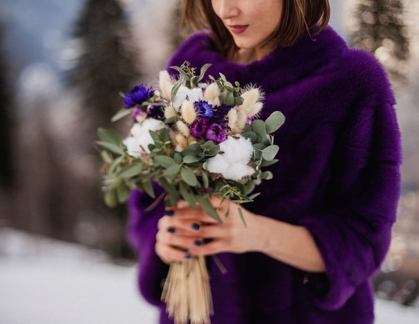 Olivia floristic