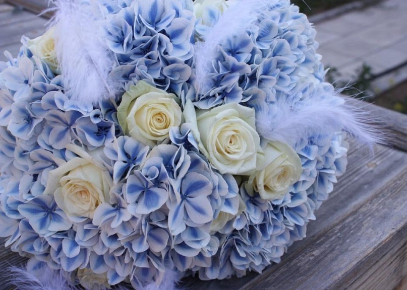 Nice Flower