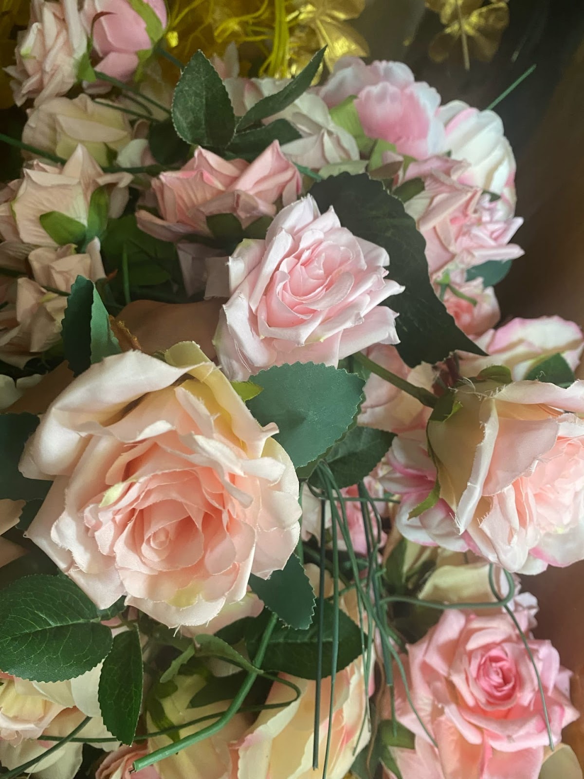 Florissimo — кадр 5 из 751