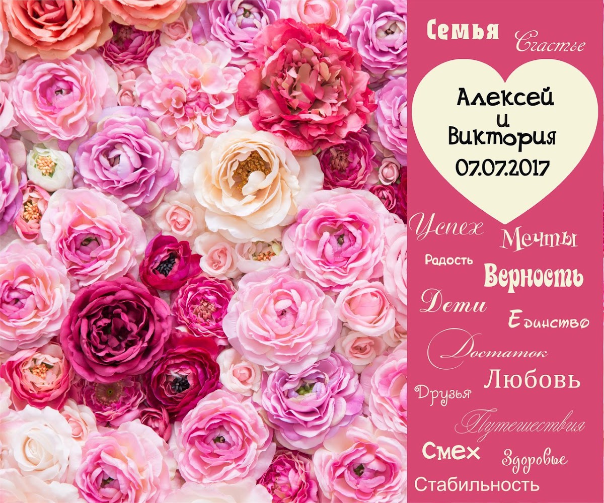 Портфолио