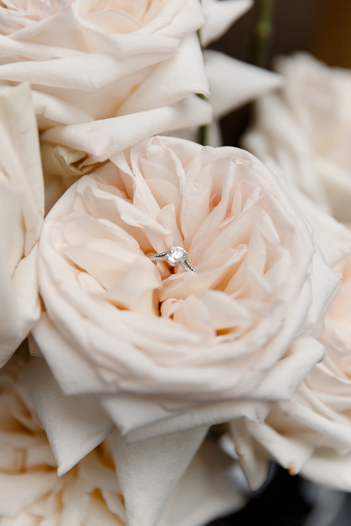 Илья и Евгения