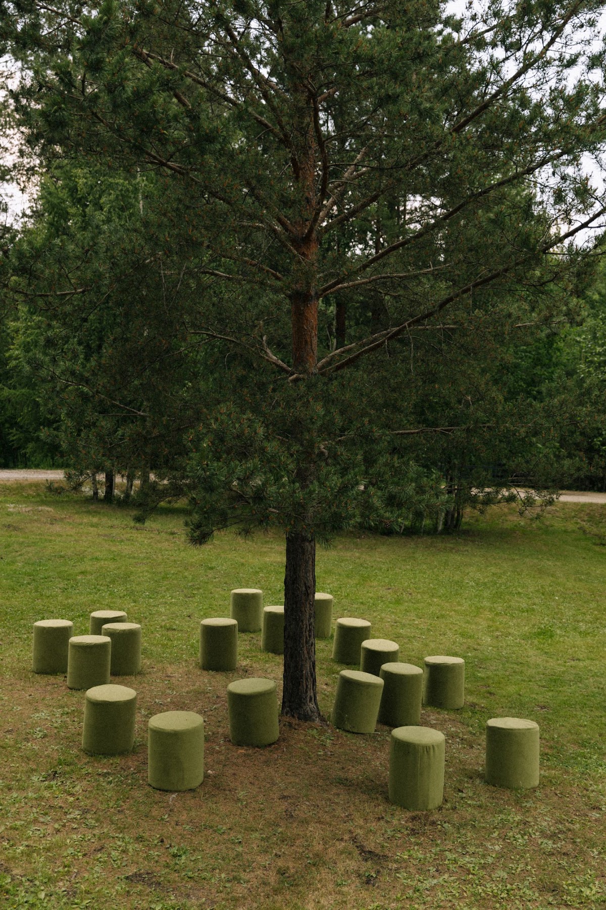 Фотогалерея ресторана