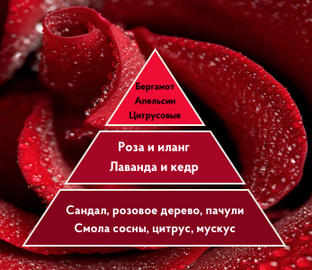 Портфолио