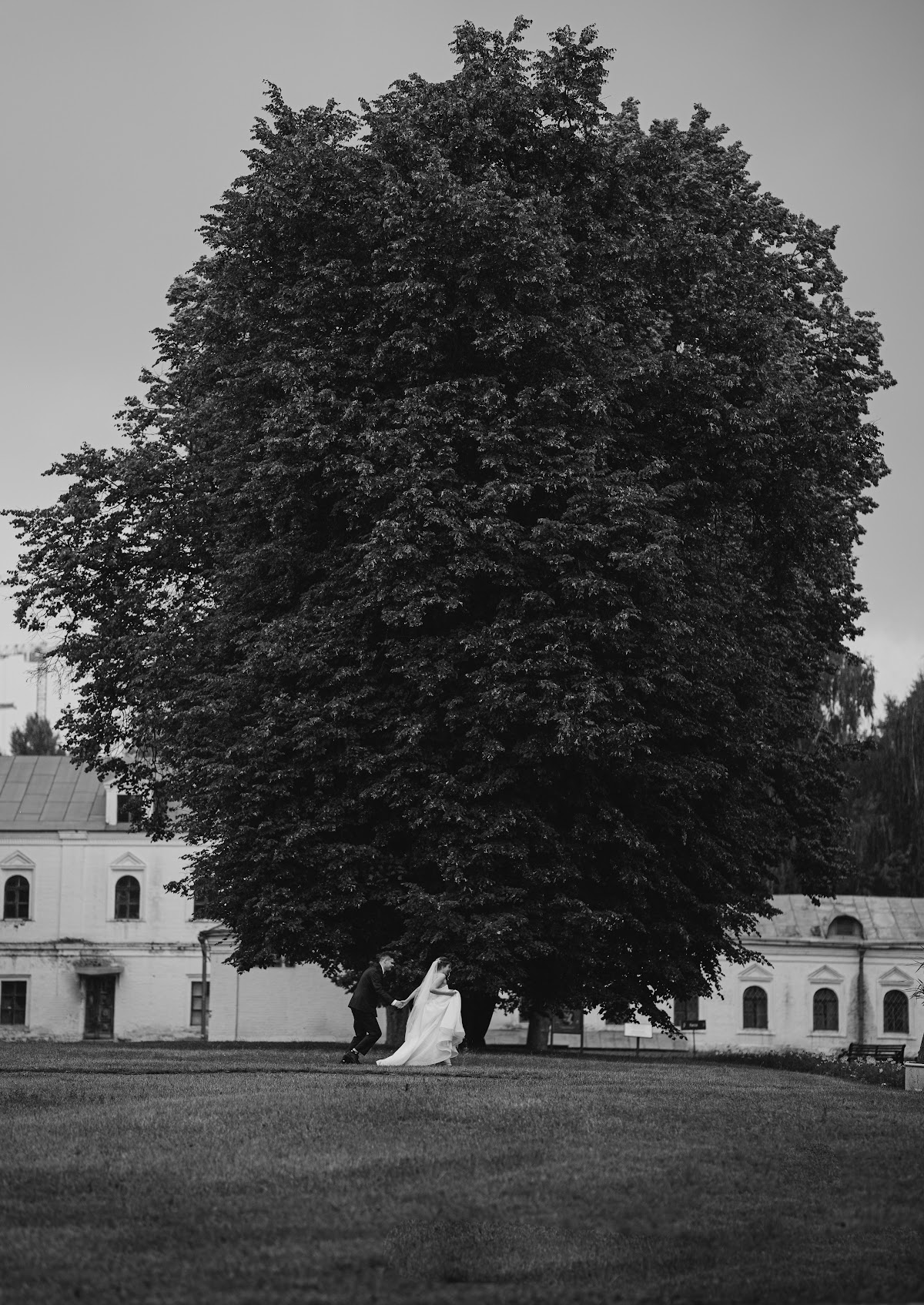 Фотографии