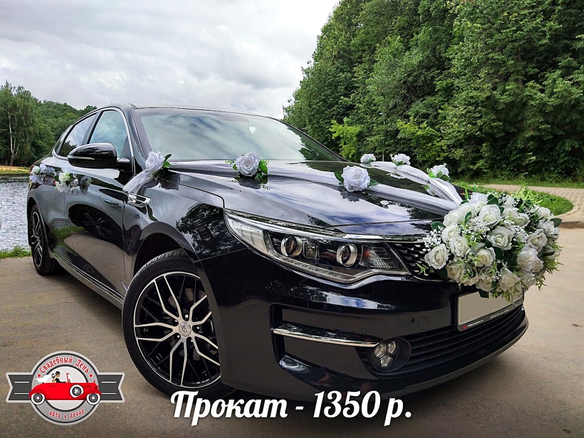Портфолио
