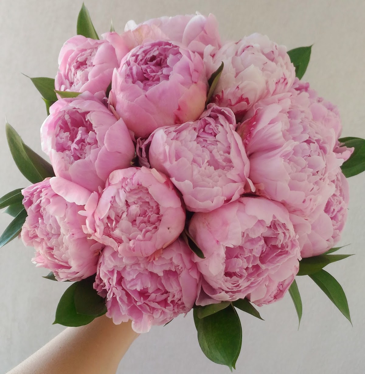 Gloryfiori