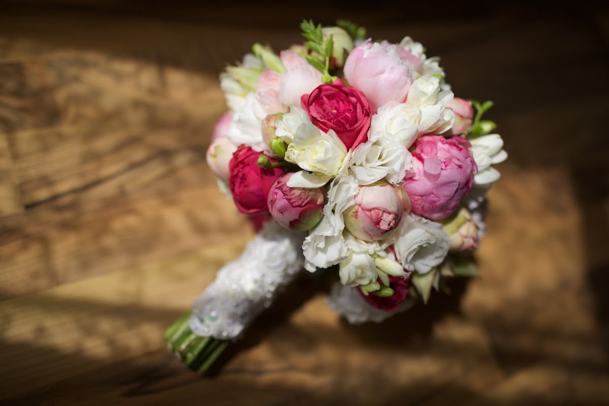 WeddWedd