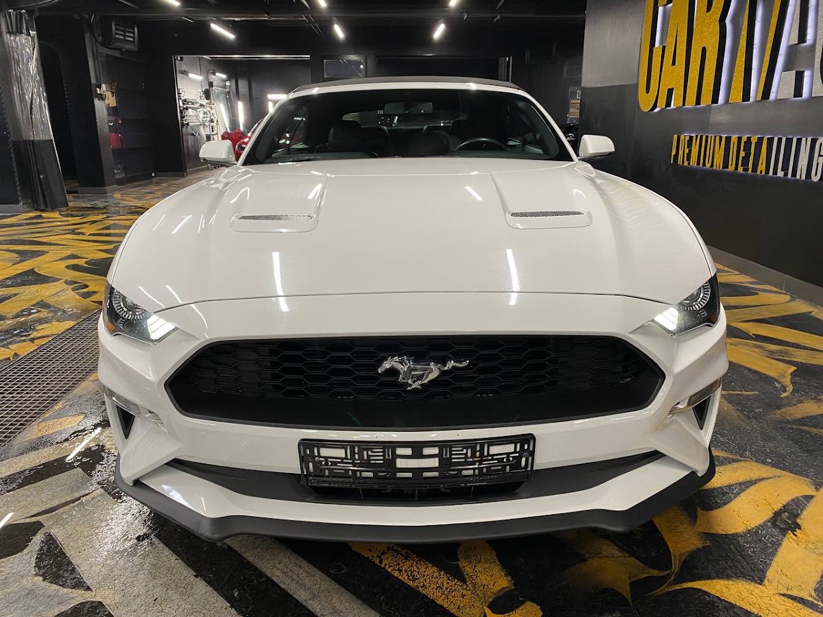 FORD MUSTANG — кадр 3 из 6
