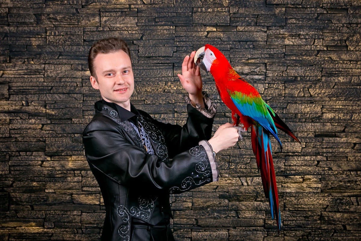 Роман Ахмедшин