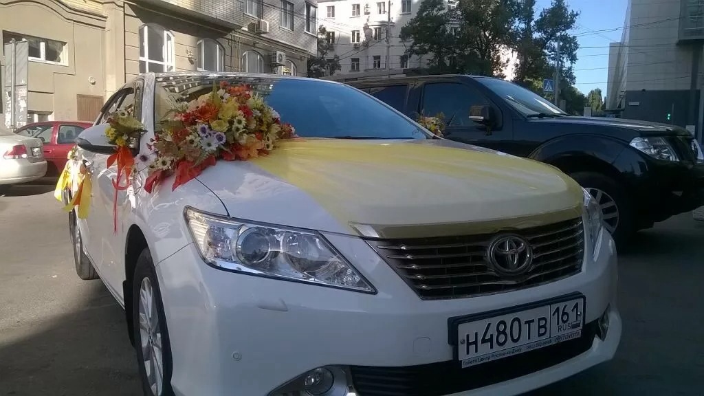 ЗОЛОТАЯ ОСЕНЬ