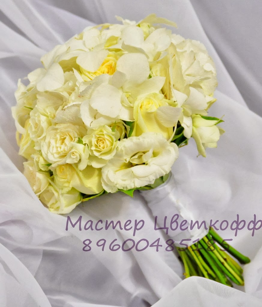 Портфолио