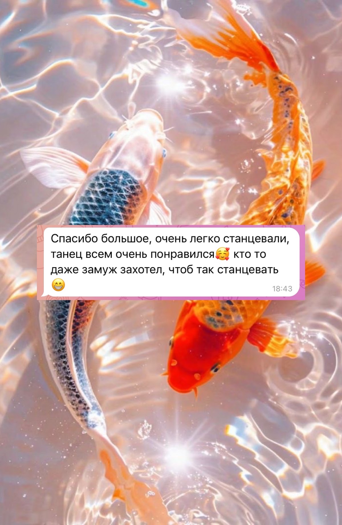 Отзывы