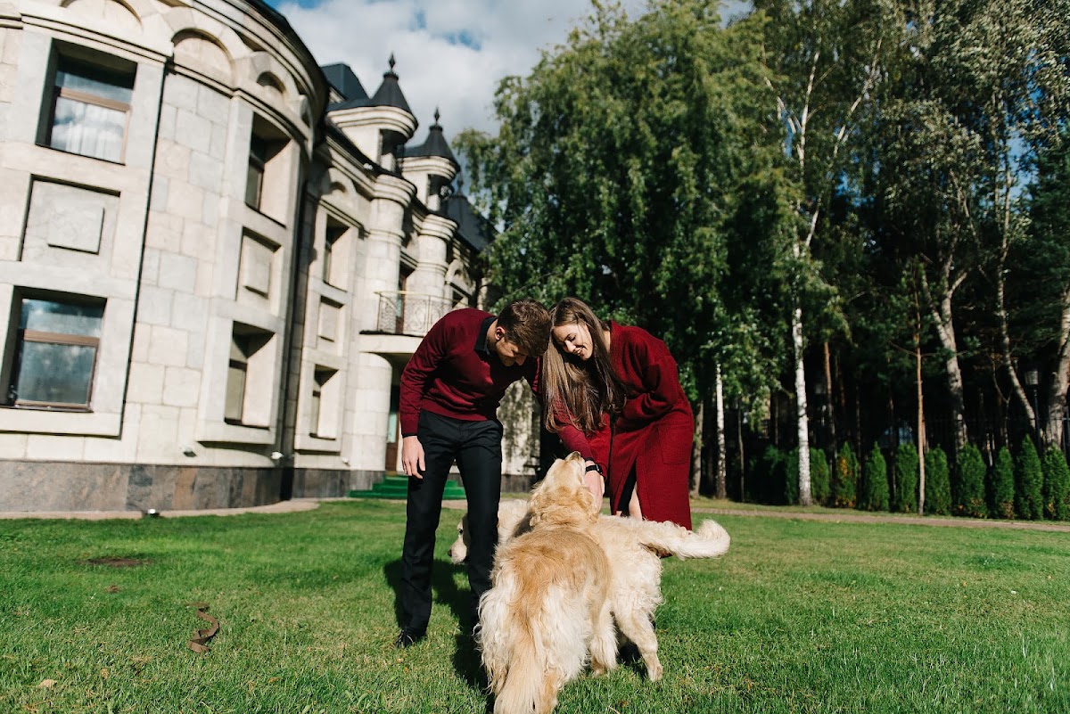 Портфолио: Love story