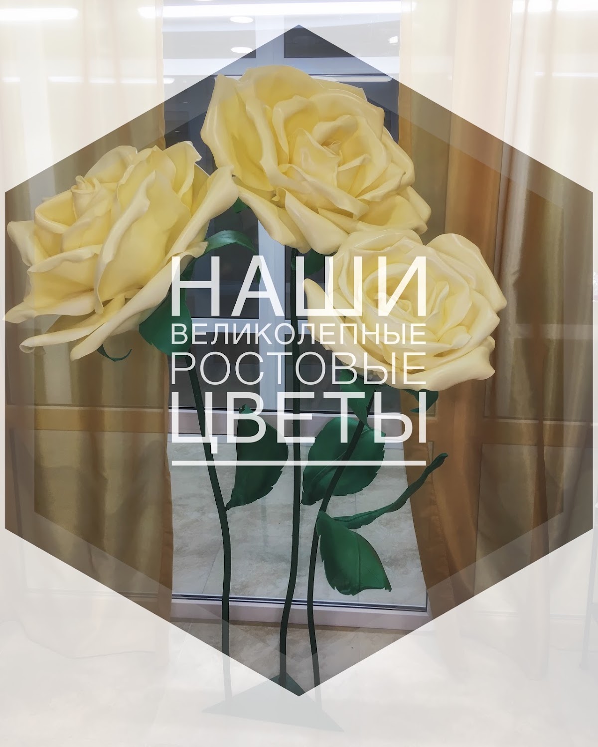 Кадр 9 из 11