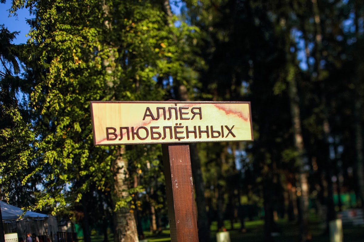 Свадебный отчёт