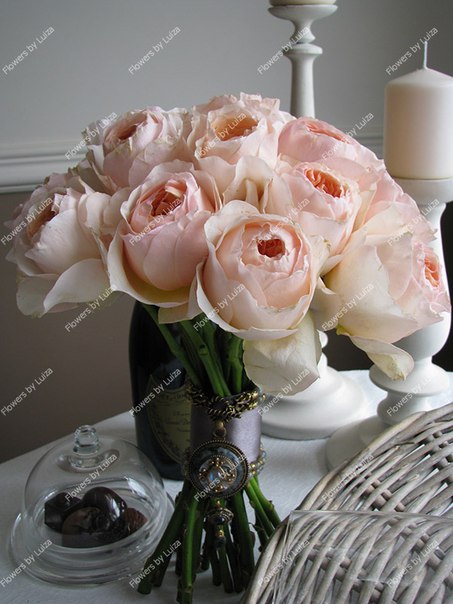 Flowers by Luiza