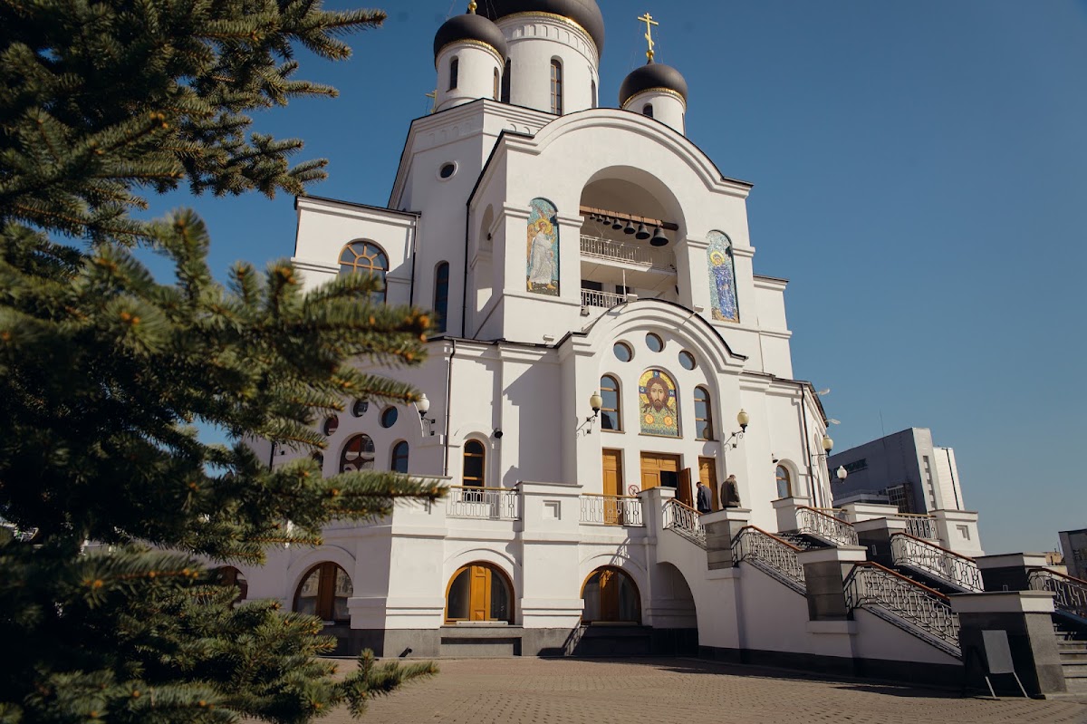 Кадр 53 из 184