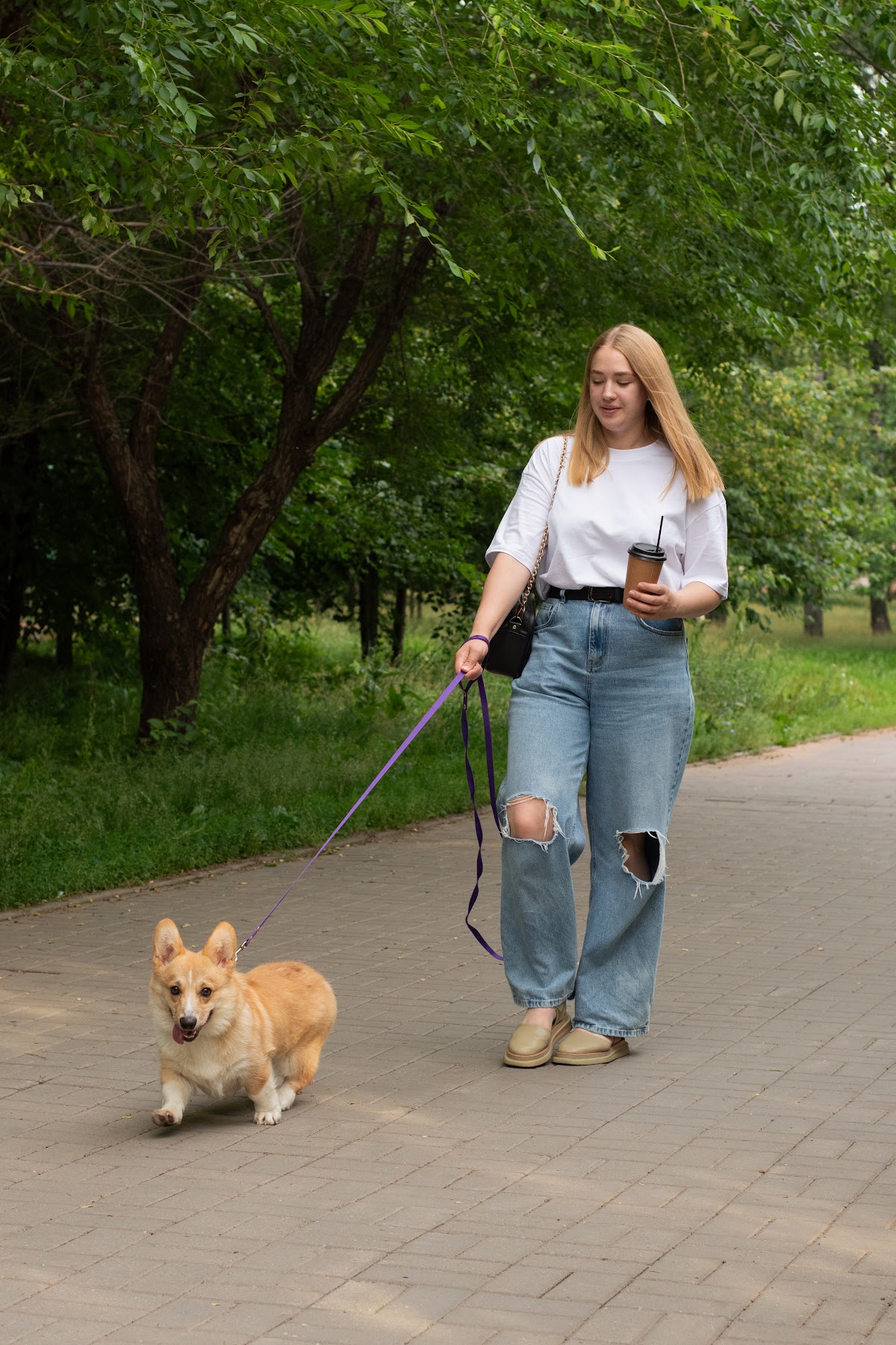 Портфолио: Животные
